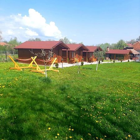 Casutele Din Retezat Hotel Nucsoara  Exterior photo