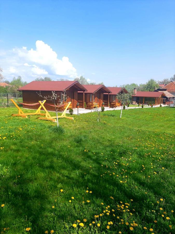 Casutele Din Retezat Hotel Nucsoara  Exterior photo