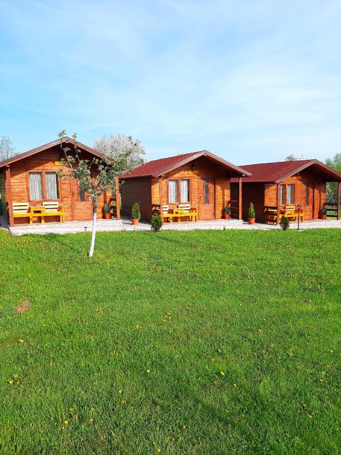 Casutele Din Retezat Hotel Nucsoara  Exterior photo