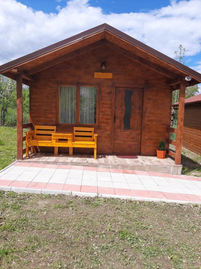 Casutele Din Retezat Hotel Nucsoara  Exterior photo