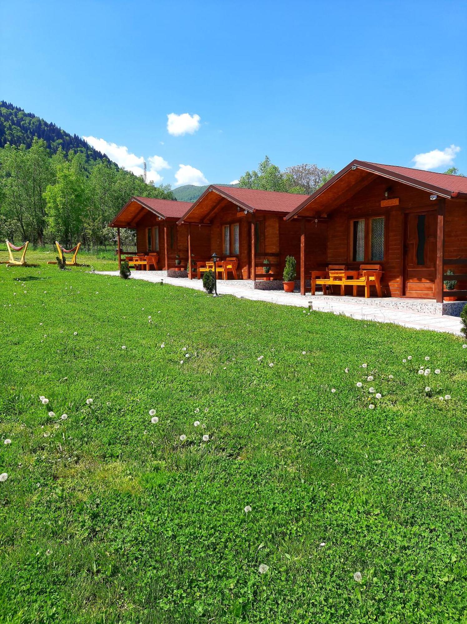 Casutele Din Retezat Hotel Nucsoara  Exterior photo